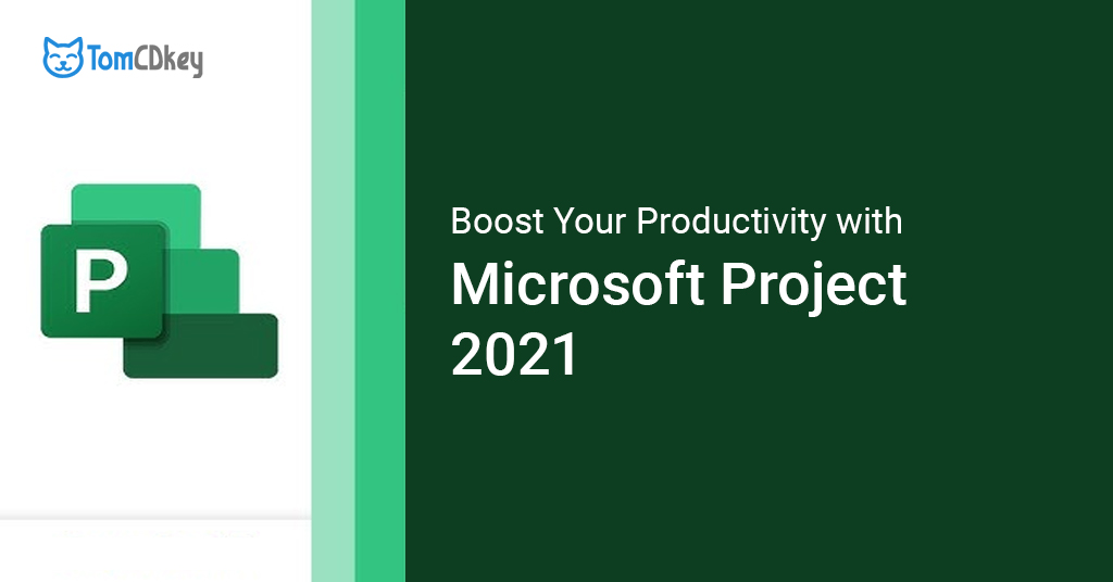 Microsoft Project 2021